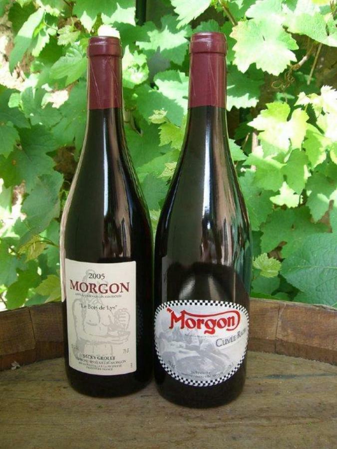 Gite Le Pot De Vin Lancié エクステリア 写真