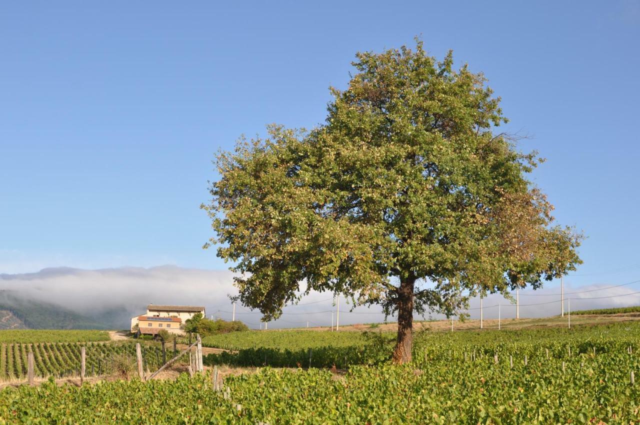 Gite Le Pot De Vin Lancié エクステリア 写真